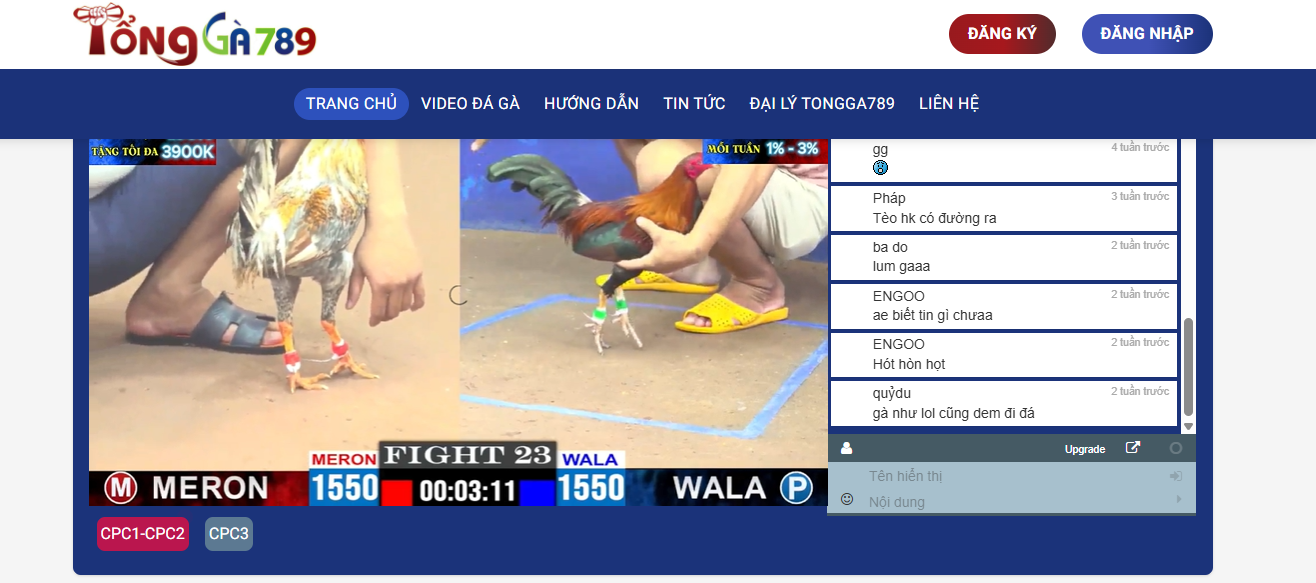 đăng ký tongga789