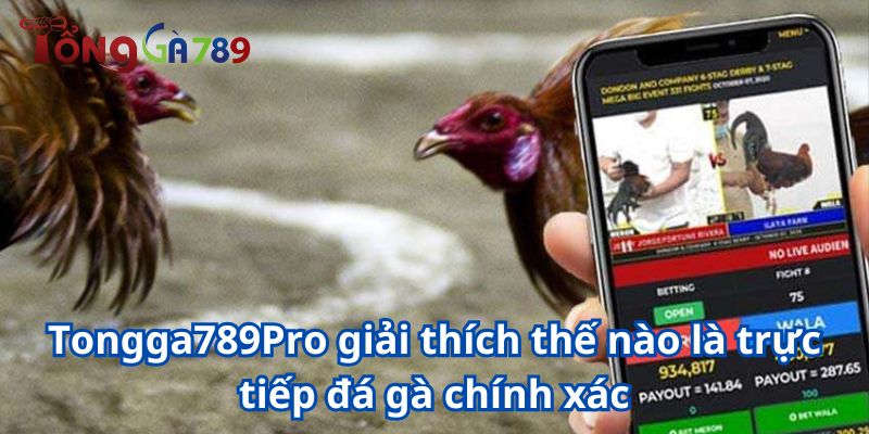 trực tiếp đá gà