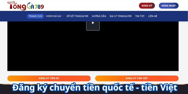 trực tiếp đá gà