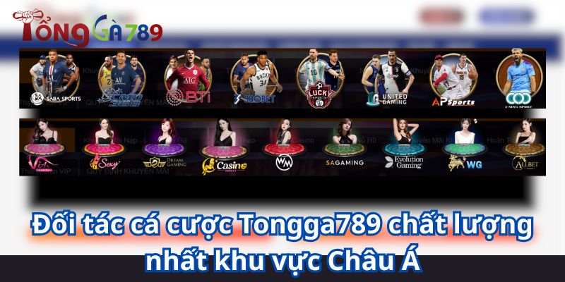 tổng gà 789